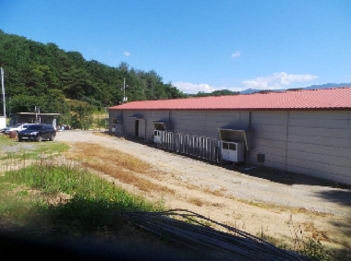 경매 물건 사진