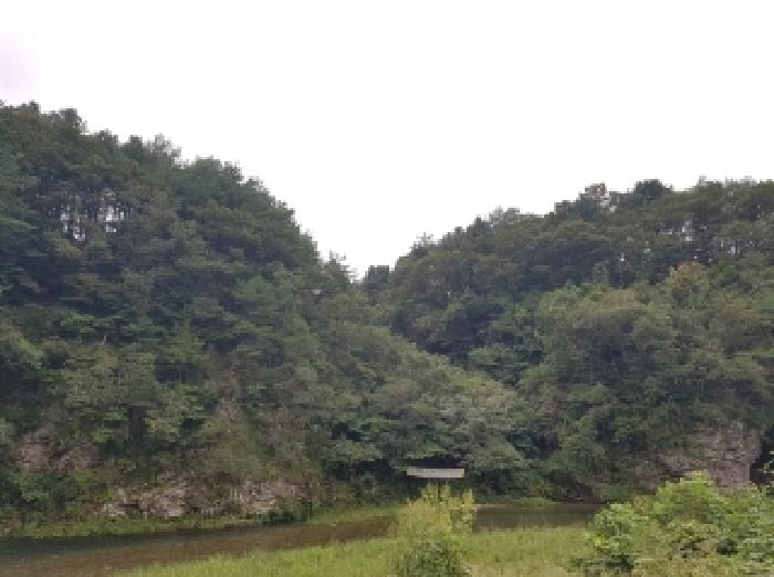 경매 물건 사진