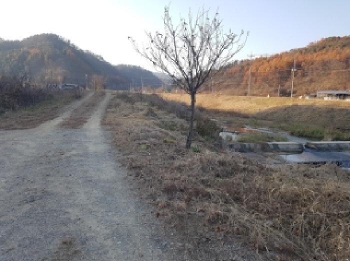 경매 물건 사진