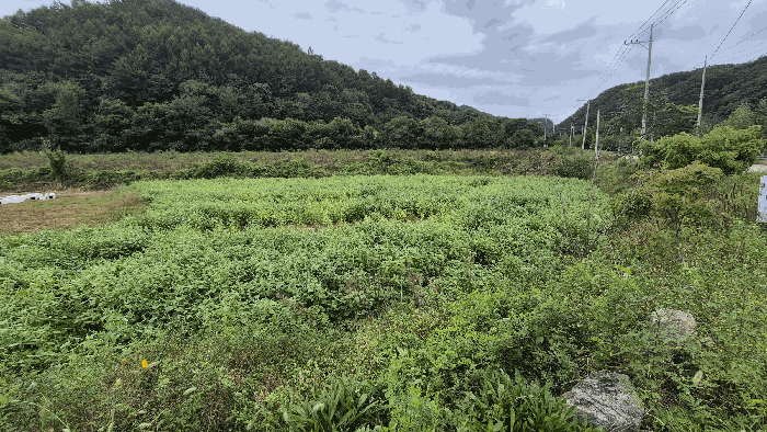 경매 물건 상세 사진