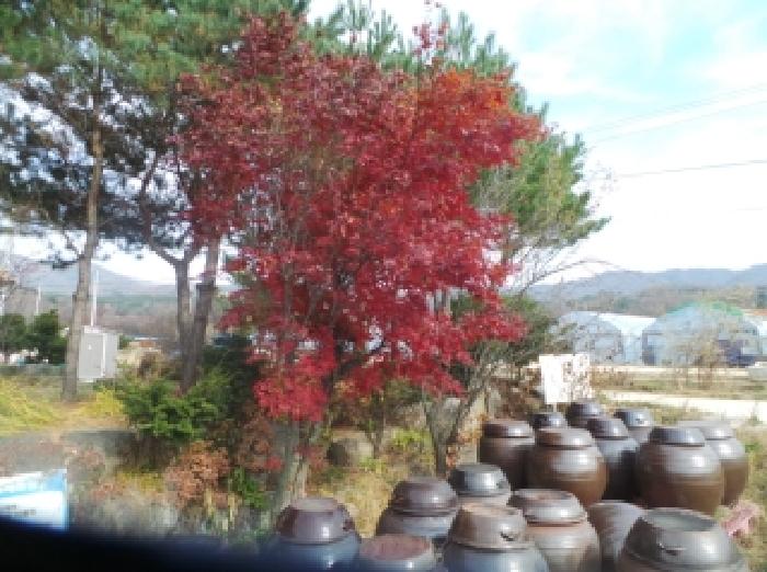 경매 물건 상세 사진