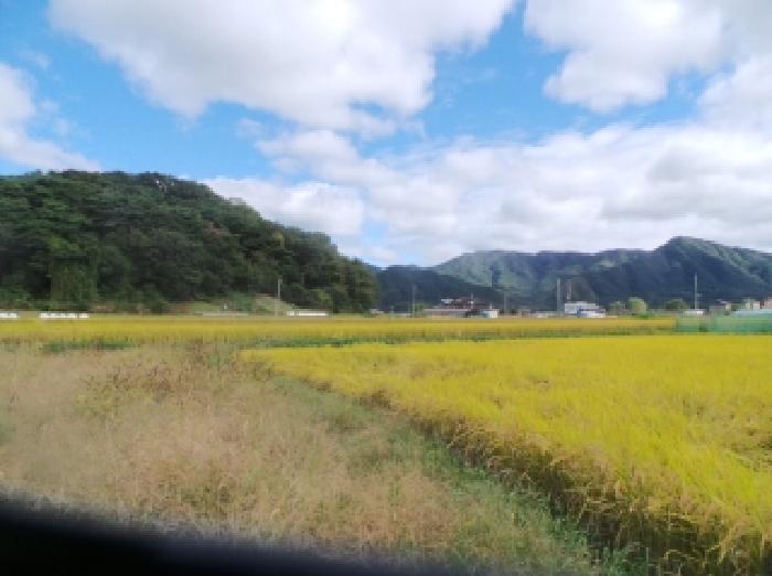 경매 물건 상세 사진