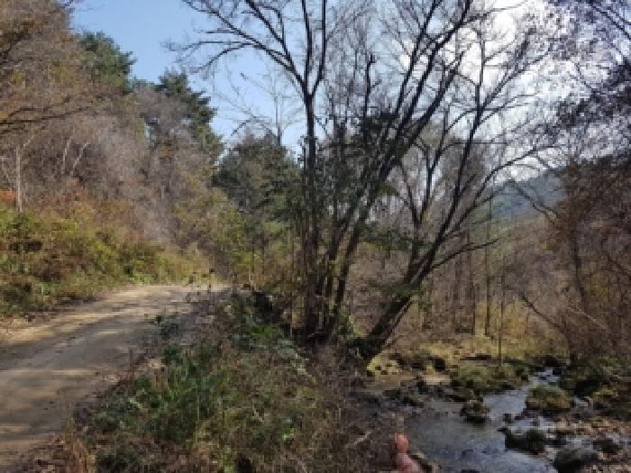 경매 물건 상세 사진