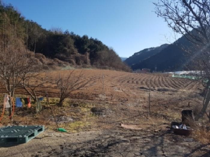 경매 물건 사진