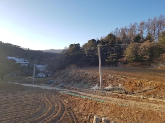 경매 물건 사진
