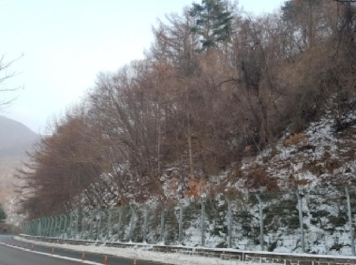 경매 물건 사진