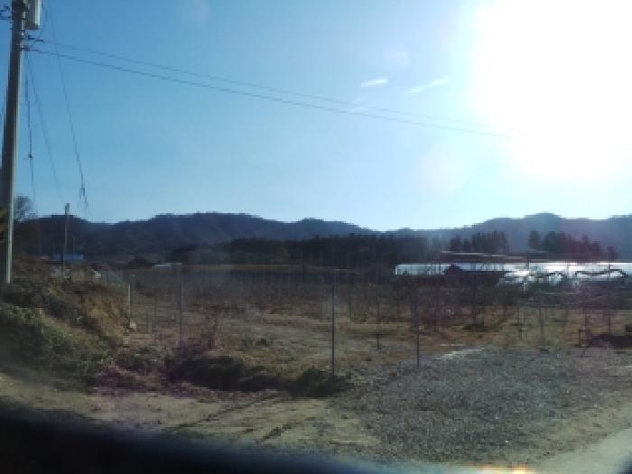 경매 물건 사진