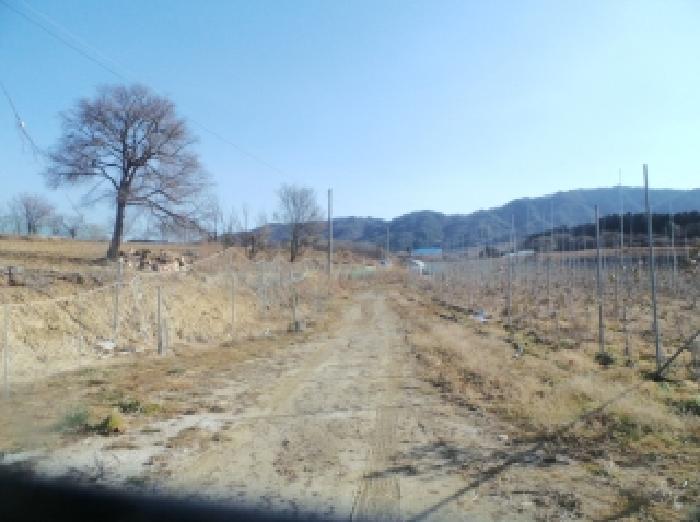 경매 물건 상세 사진