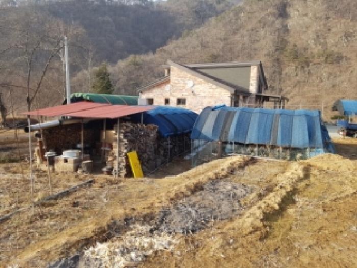 경매 물건 사진