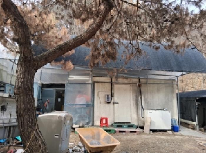 경매 물건 사진