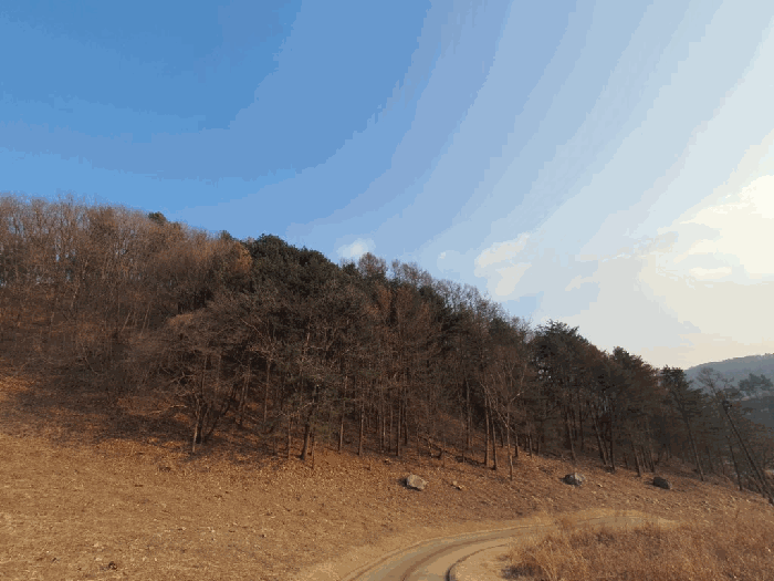경매 물건 상세 사진