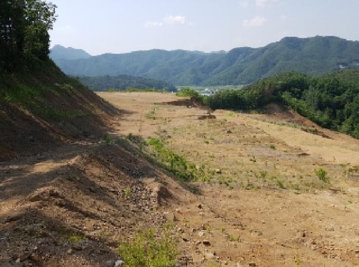 홍천군 두미리 부동…