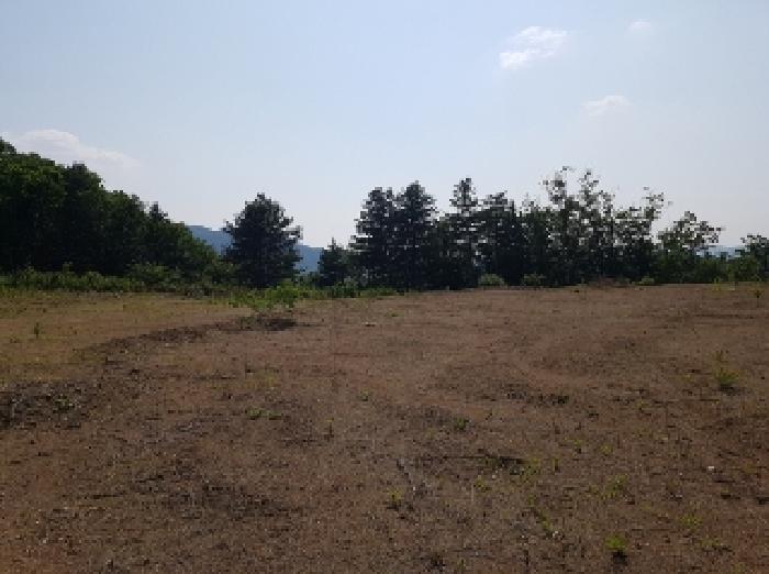 경매 물건 상세 사진