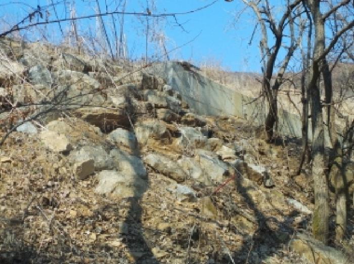 춘천 거두리 토지 …