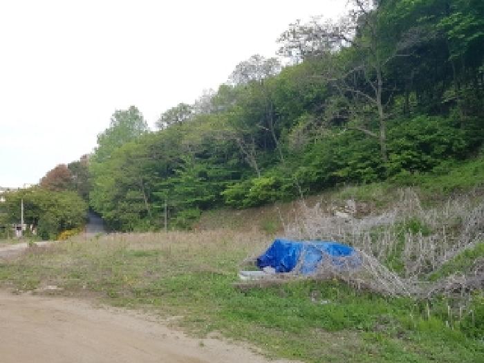 춘천 칠전동 토지 …