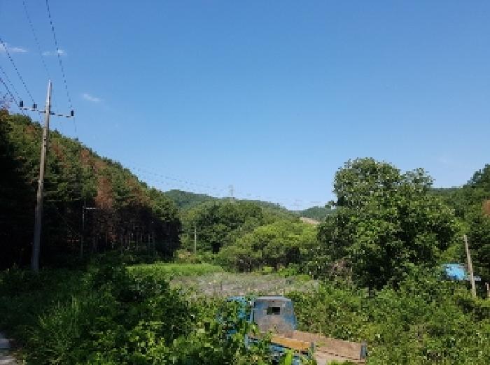 춘천 추곡리 땅 경…