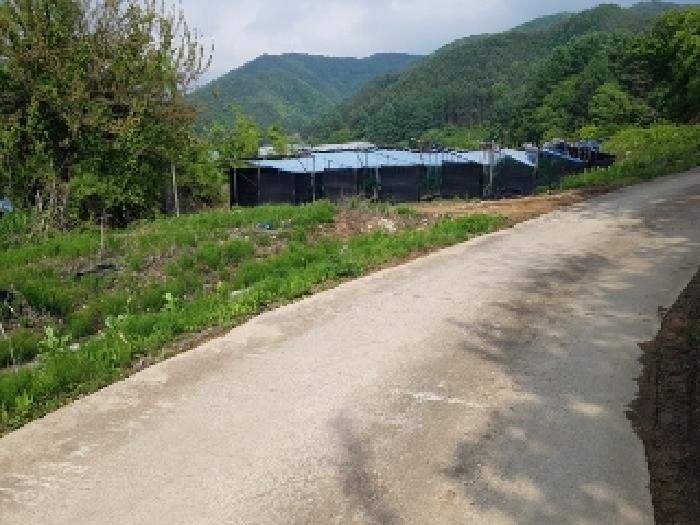 경매 물건 사진