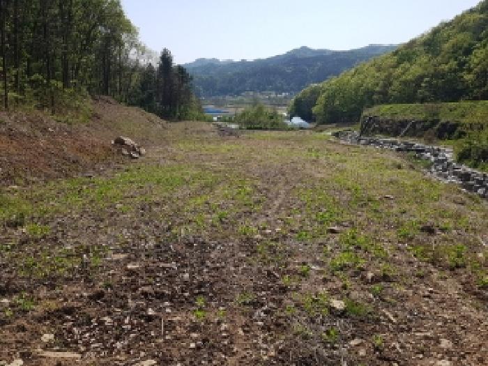 춘천 광판리 토지 …