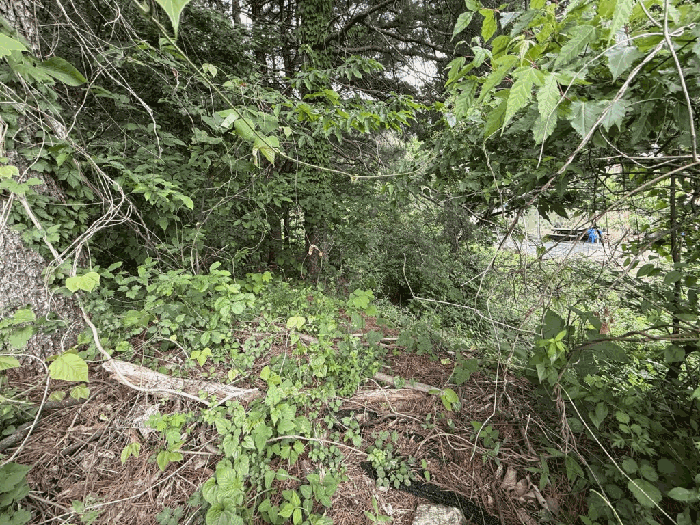 경매 물건 상세 사진