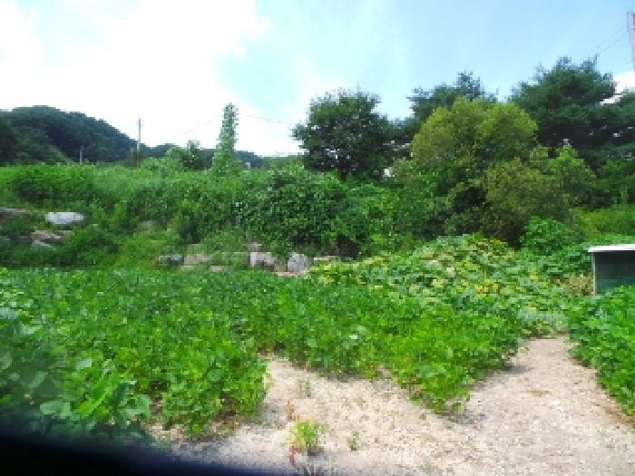 경매 물건 사진