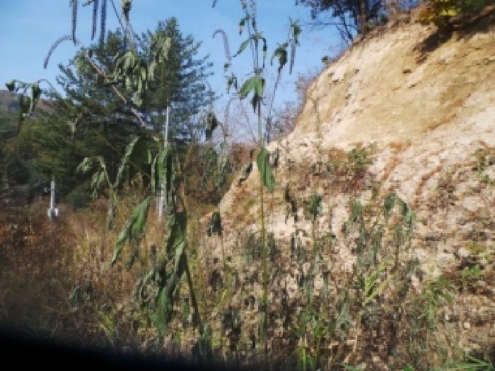 경매 물건 상세 사진