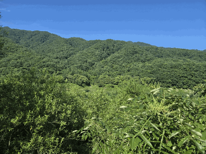 경매 물건 상세 사진