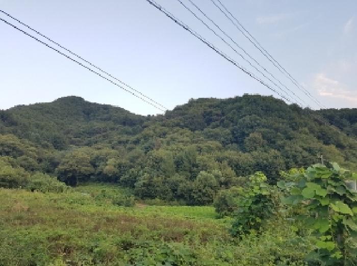 경매 물건 사진