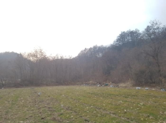 경매 물건 사진