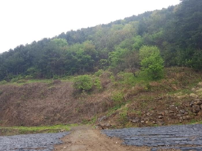 경매 물건 사진