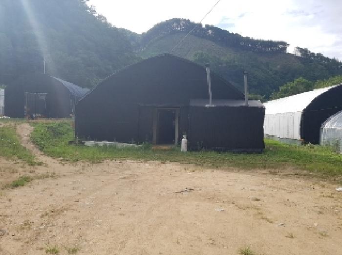 홍천 광원리 부동산…