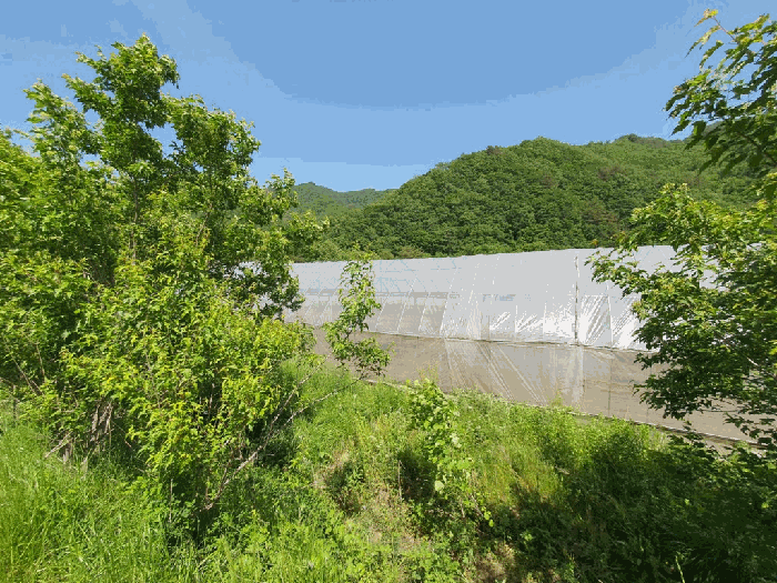 경매 물건 상세 사진