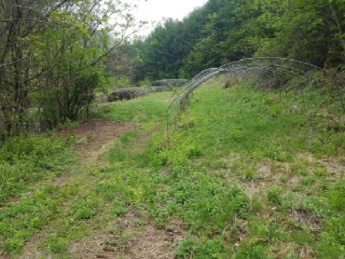 홍천 북방면 토지 …