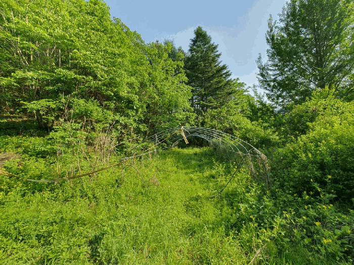 경매 물건 상세 사진