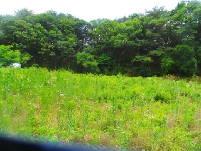 경매 물건 상세 사진
