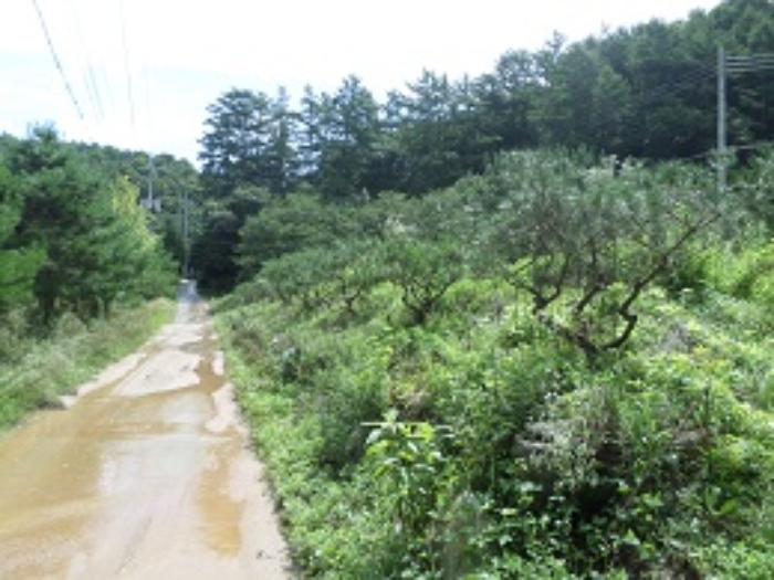 경매 물건 사진