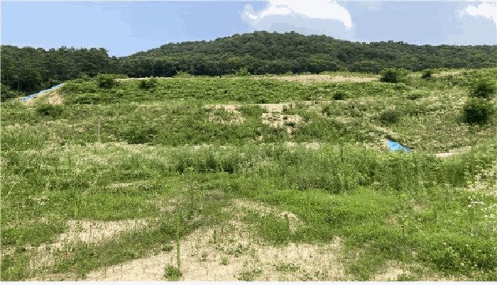 경매 물건 상세 사진