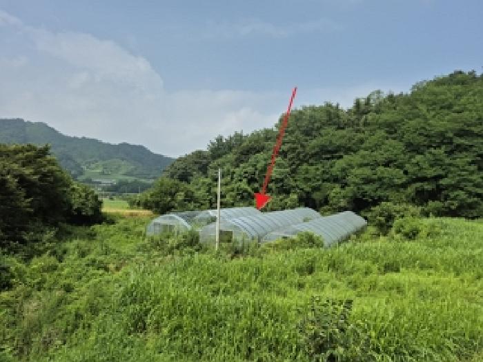 경매 물건 사진