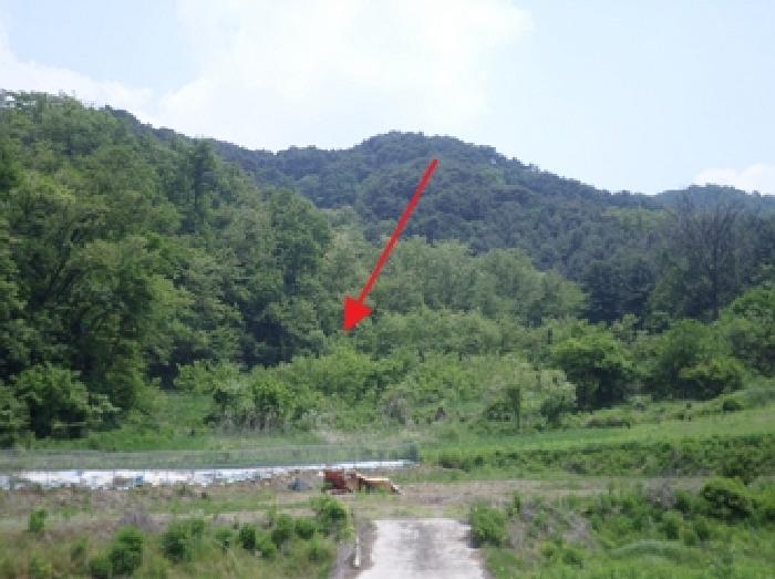 경매 물건 사진