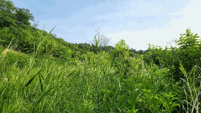 경매 물건 상세 사진