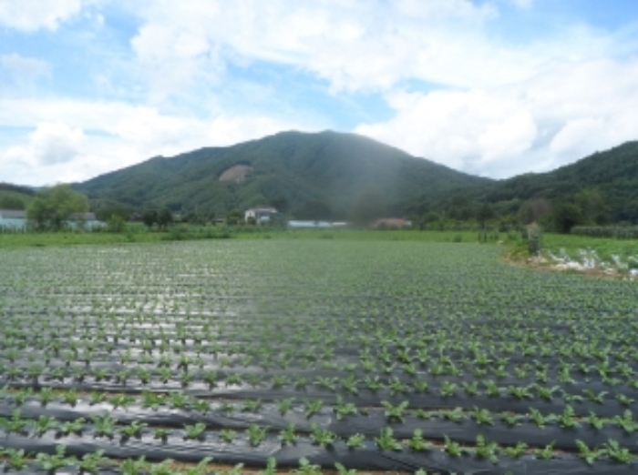 경매 물건 사진