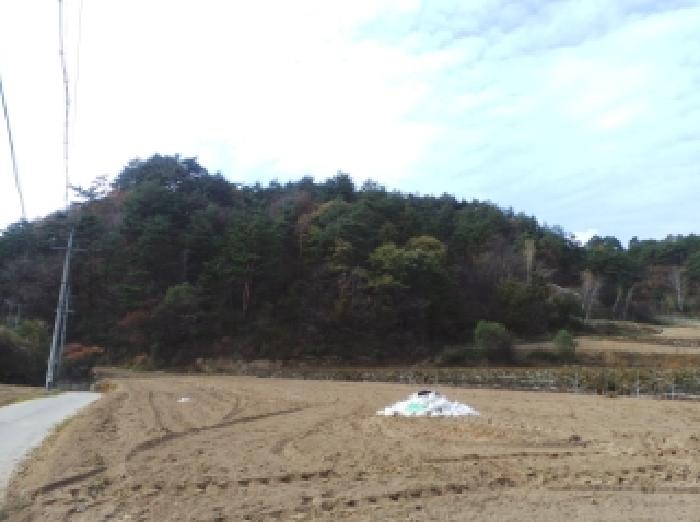 경매 물건 사진