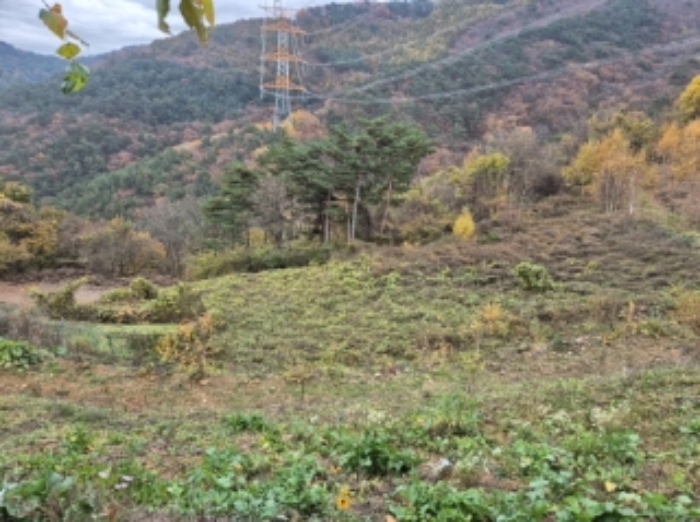 경매 물건 사진