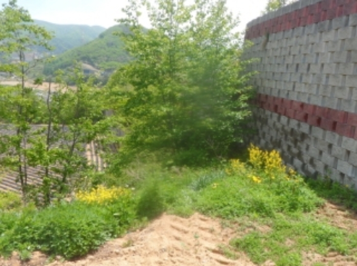 경매 물건 상세 사진