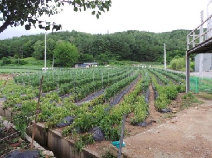 경매 물건 사진