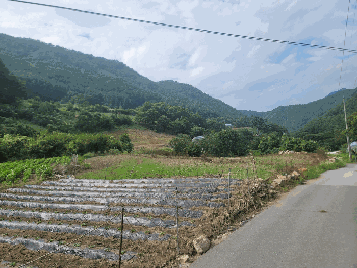 경매 물건 상세 사진