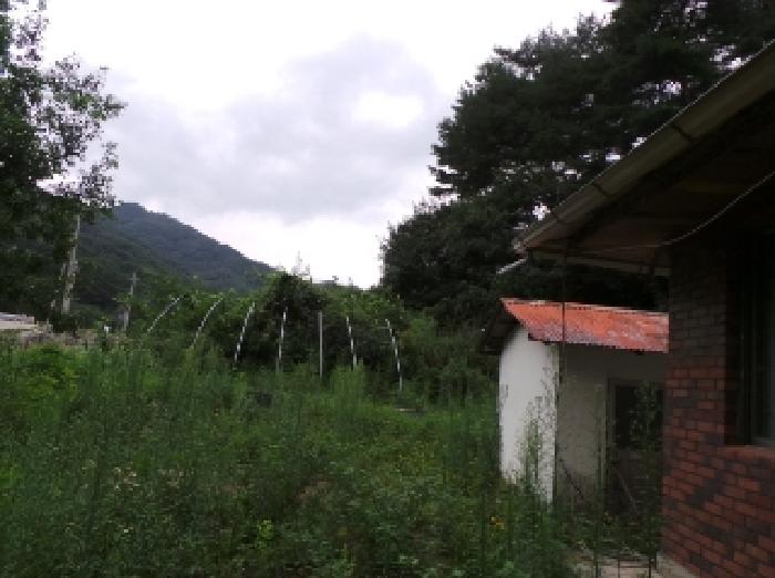 경매 물건 사진