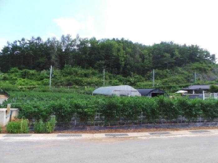 경매 물건 사진