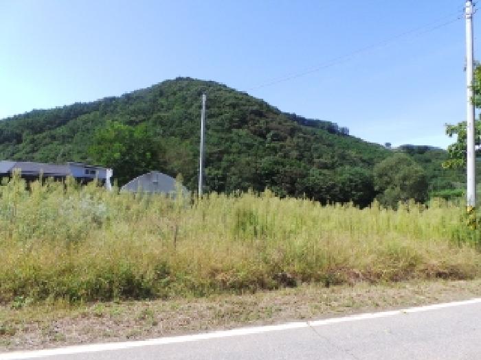 경매 물건 사진