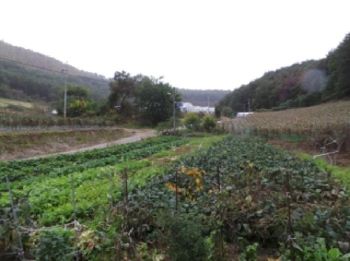 경매 물건 사진