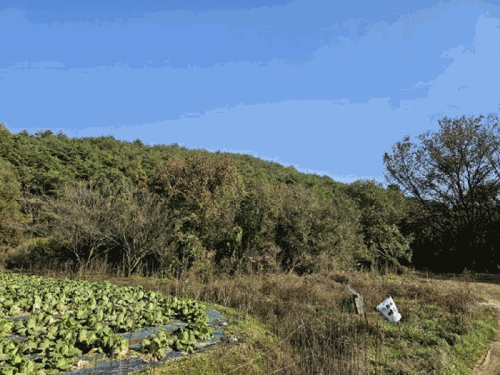 경매 물건 상세 사진